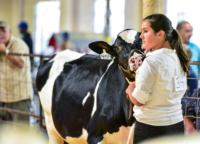 Orangeburg County Fair Dairy Show